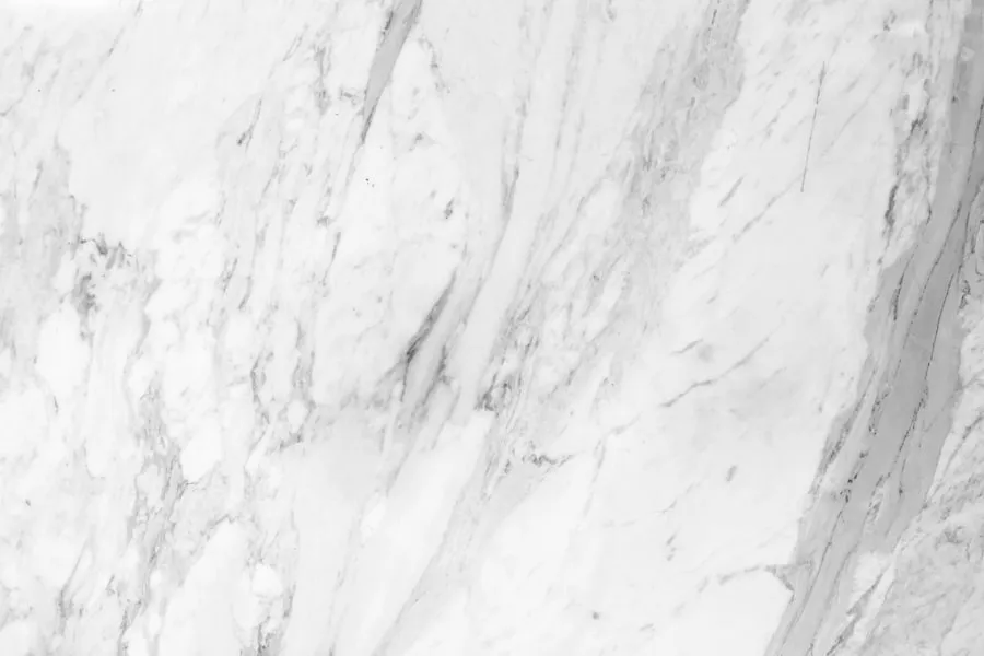 White marble with gray veining